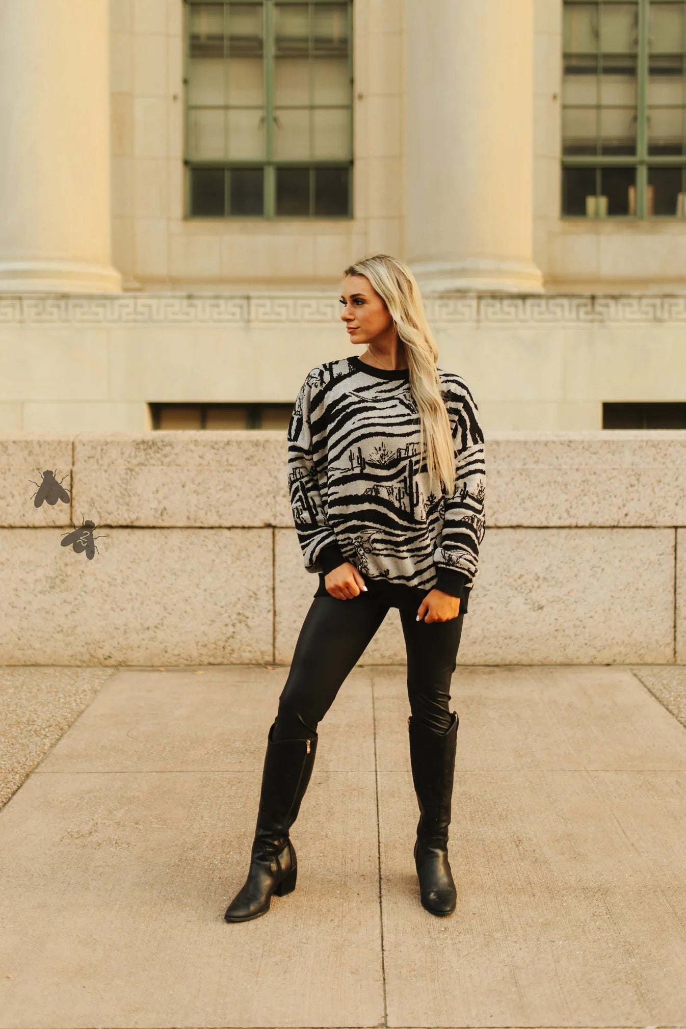 Wild West Zoo Sweater