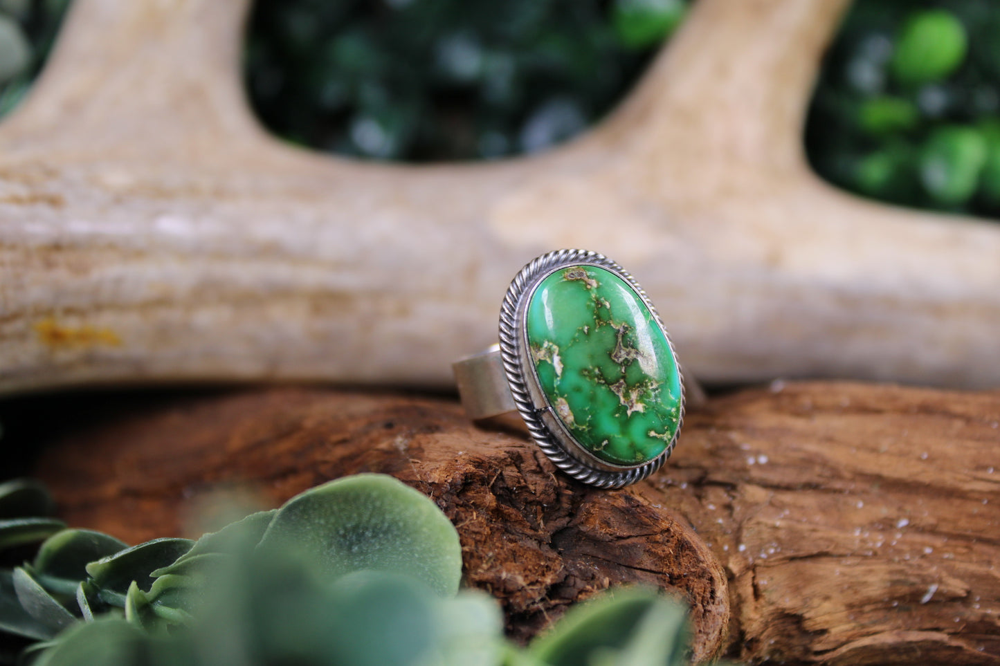 Navajo Sonoran Gold Turquoise Adjustable Ring – Antoinette Martinez