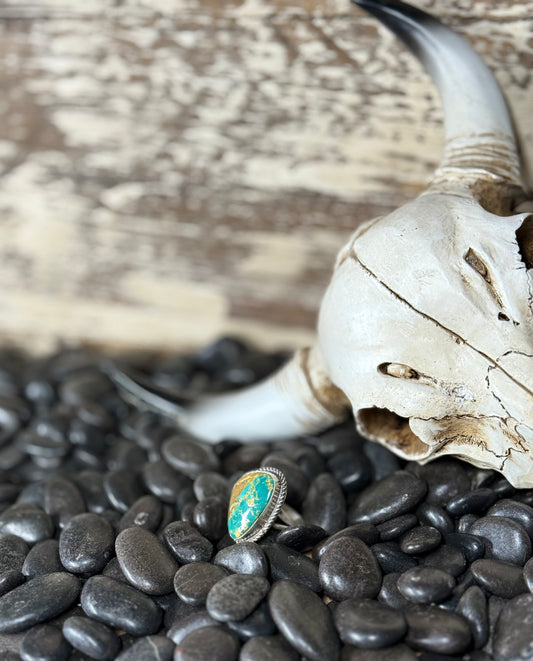 Donovan Nez Navajo Sterling Silver Kingman Turquoise Adjustable Ring