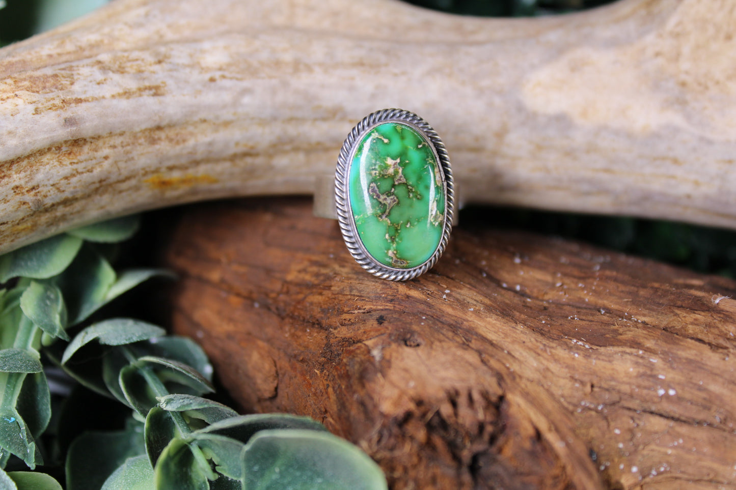 Navajo Sonoran Gold Turquoise Adjustable Ring – Antoinette Martinez