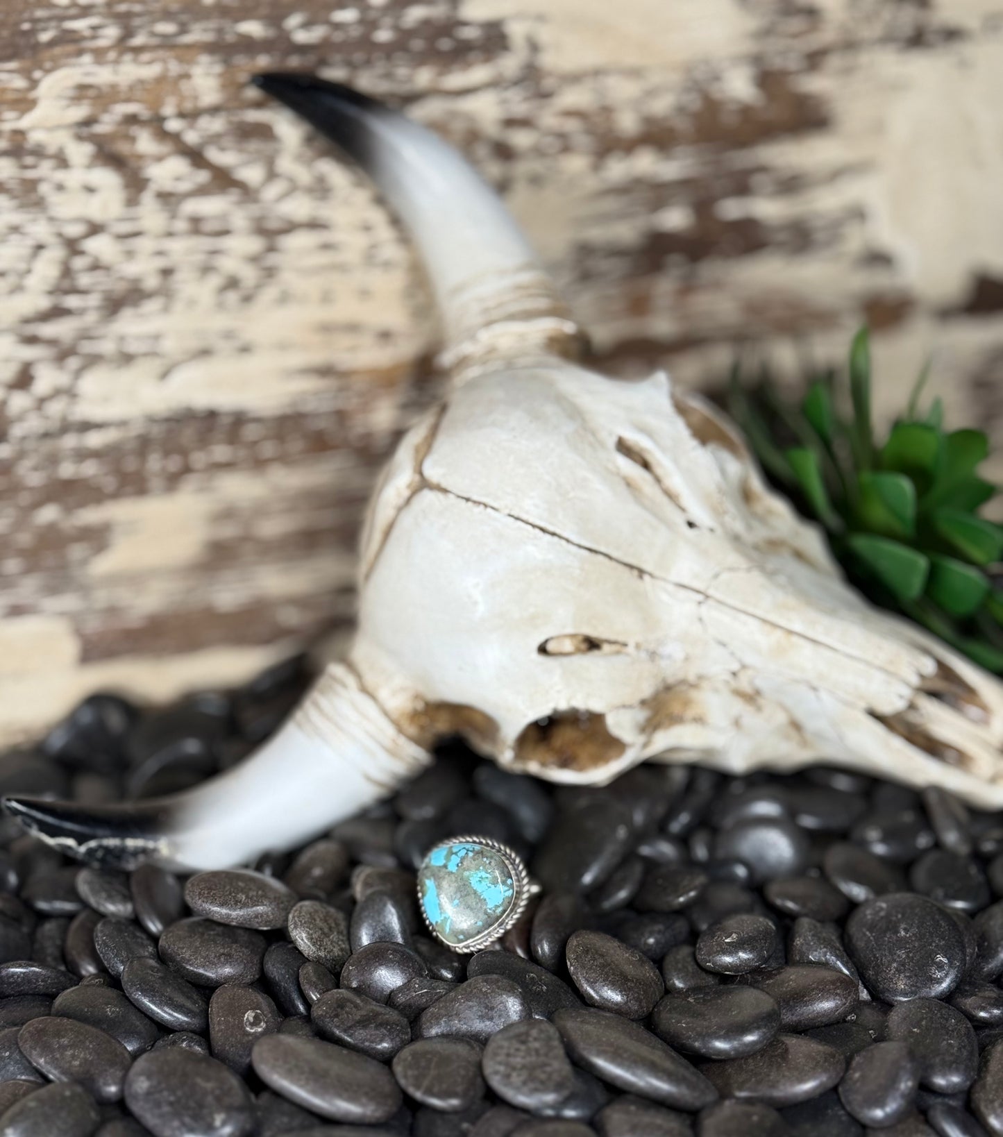 Donovan Nez Navajo Sterling Silver Kingman Turquoise Adjustable Ring