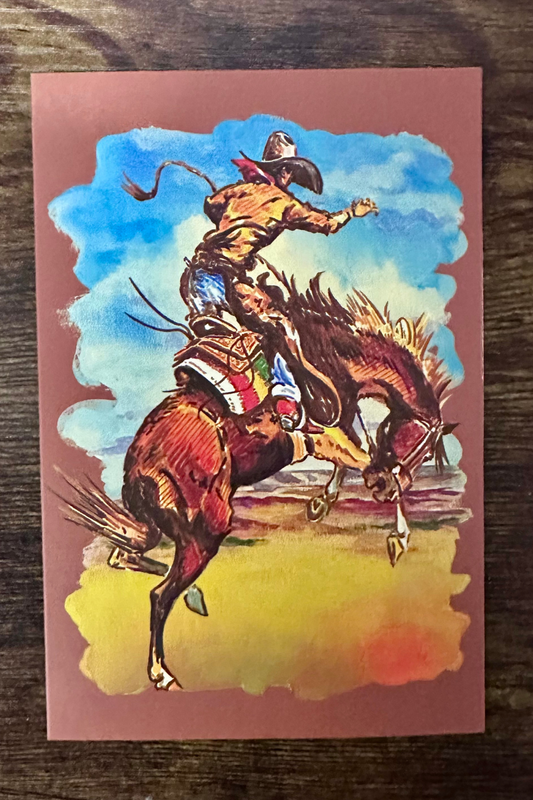 Wild Ride Thank You Cards - Pack of 10