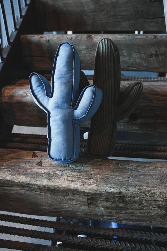 KICK A CACTUS PILLOW