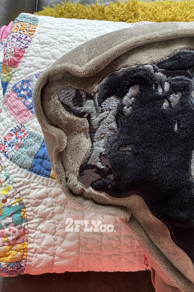 Angus – Cattle Talk Pillow